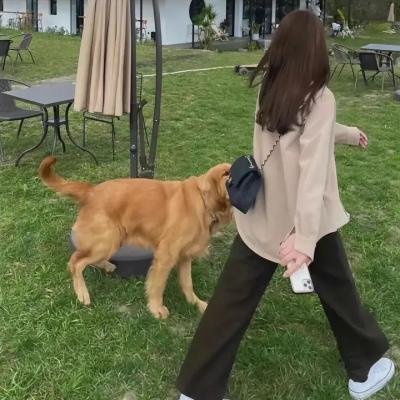 怨灵骨娃娃